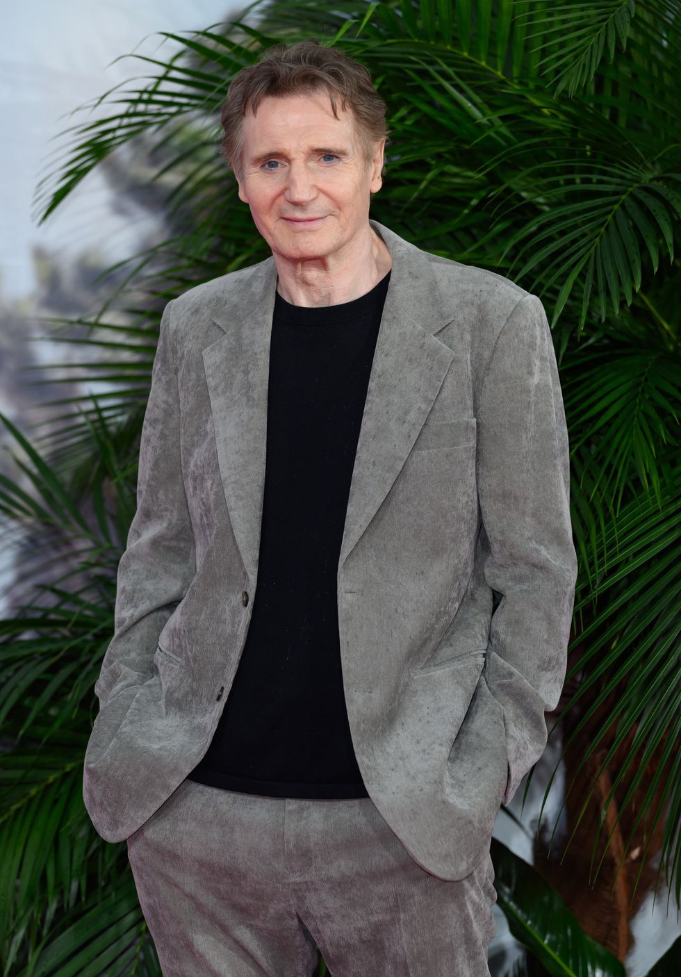 Liam Neeson