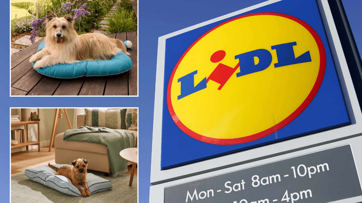 Lidl new pet range / Lidl sign
