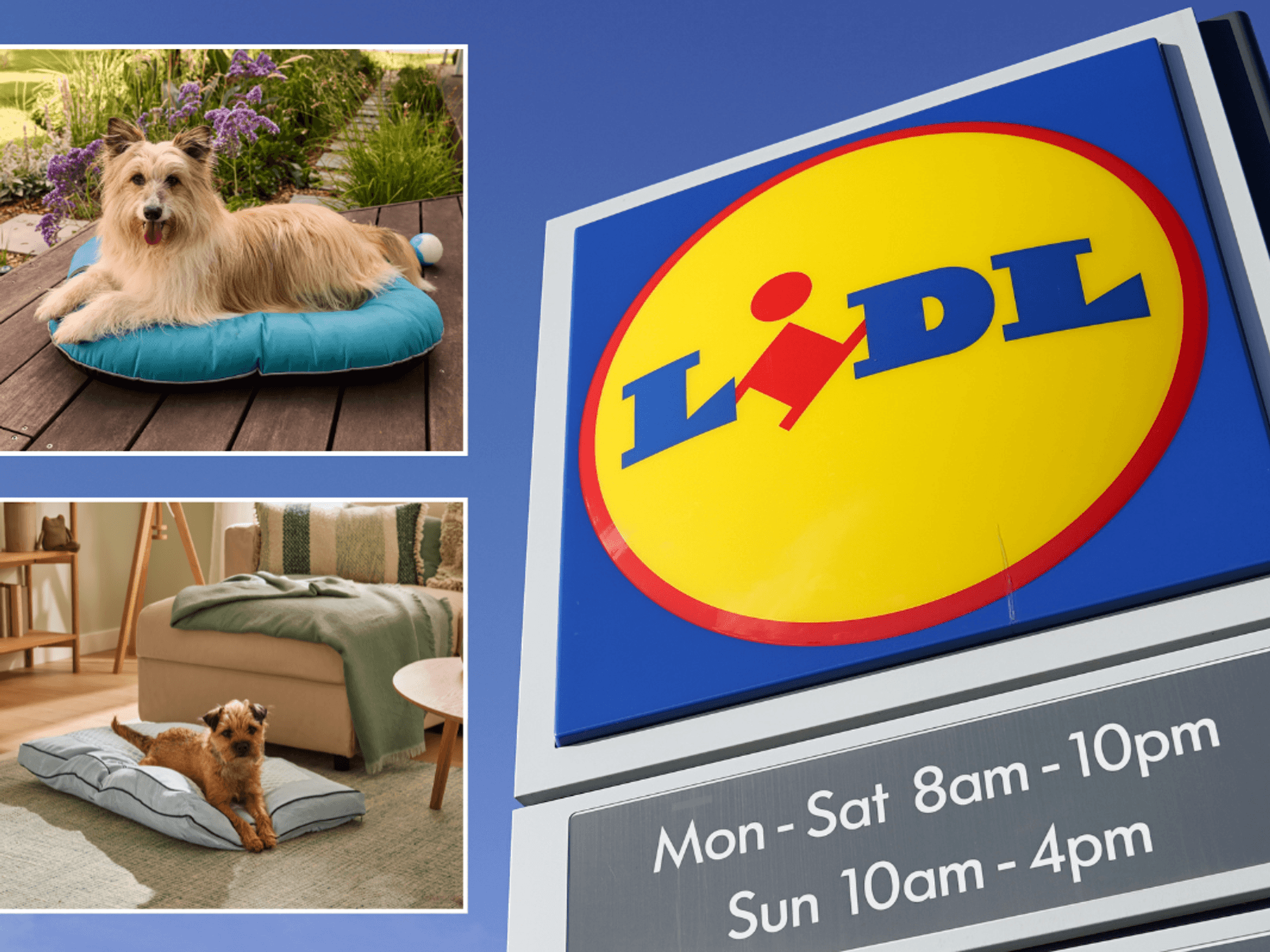 Lidl new pet range / Lidl sign