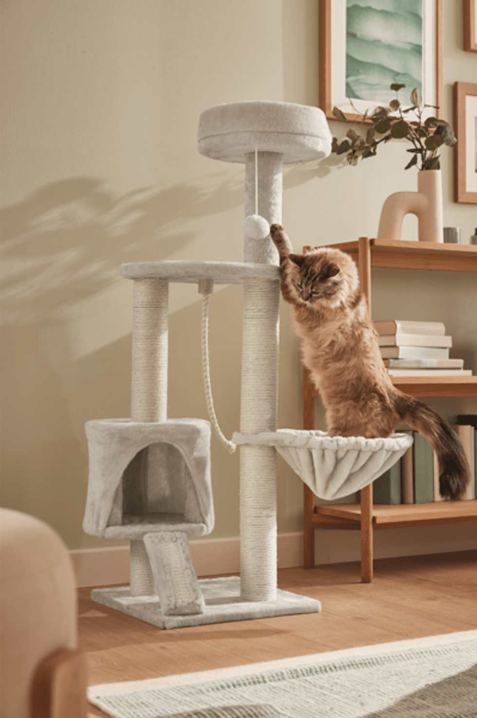 Lidl new pet range