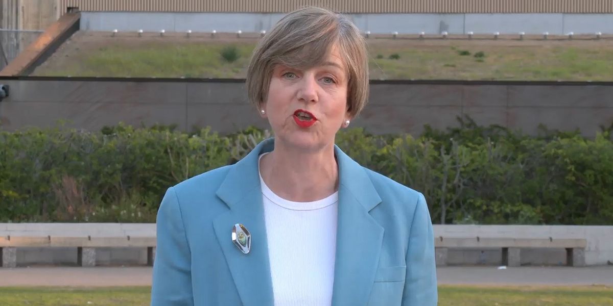 NextImg:Labour roads minister denies 'watering down' net zero goals despite hybrid vehicle law change: 'We are NOT relaxing our commitment!'