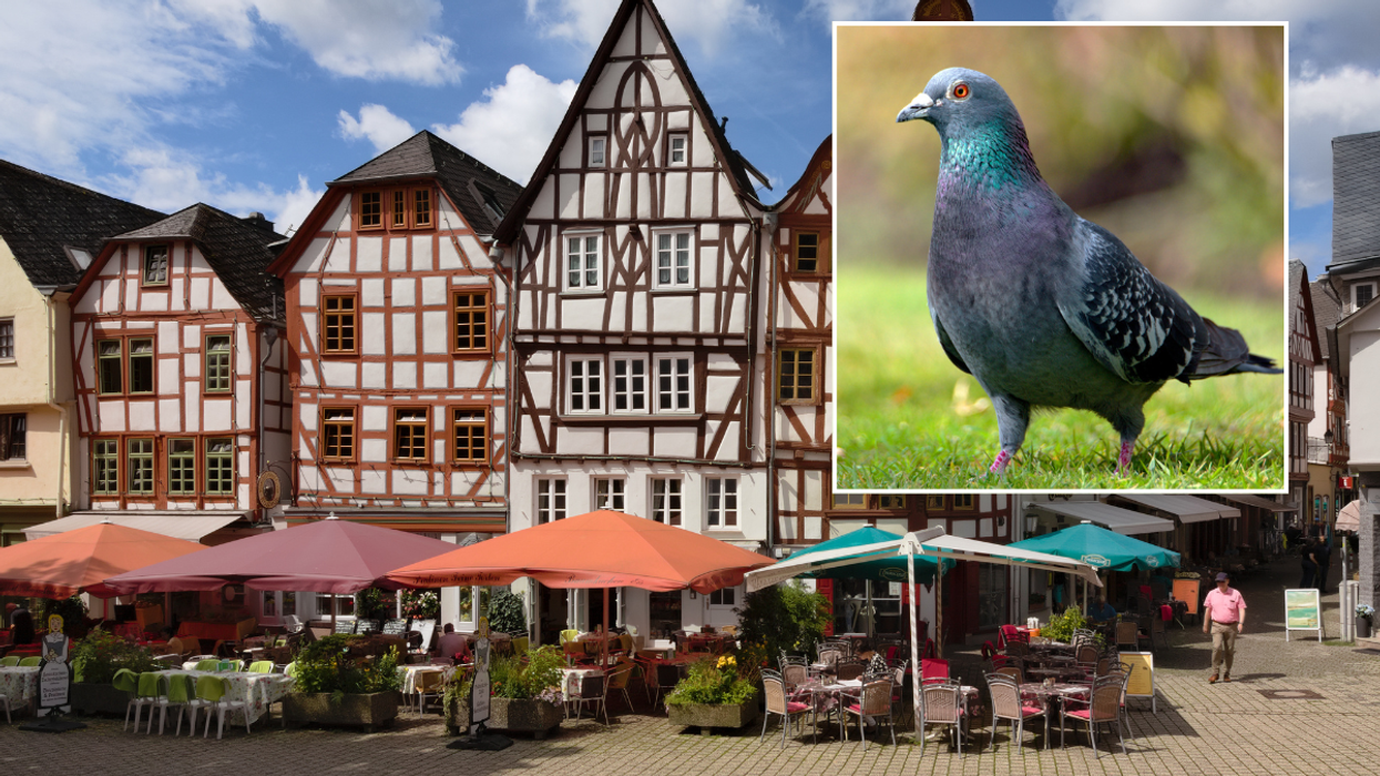 Limburg an der Lahn has voted to cull the animals
