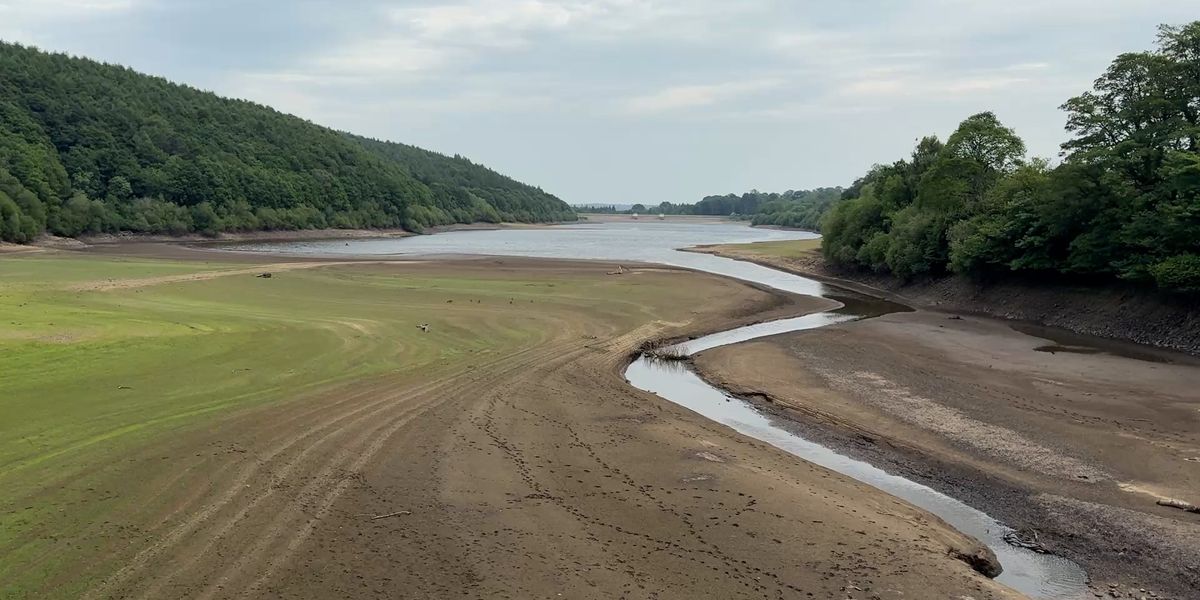 NextImg:Hosepipe ban declared 'until WINTER' as reservoir levels drop to record low