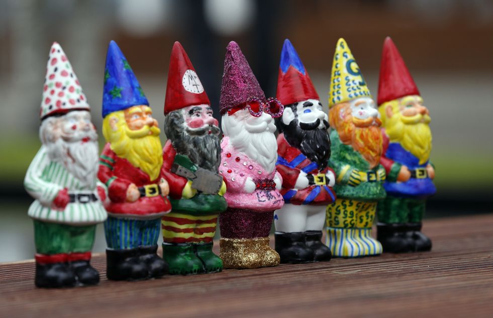 Line of garden gnomes