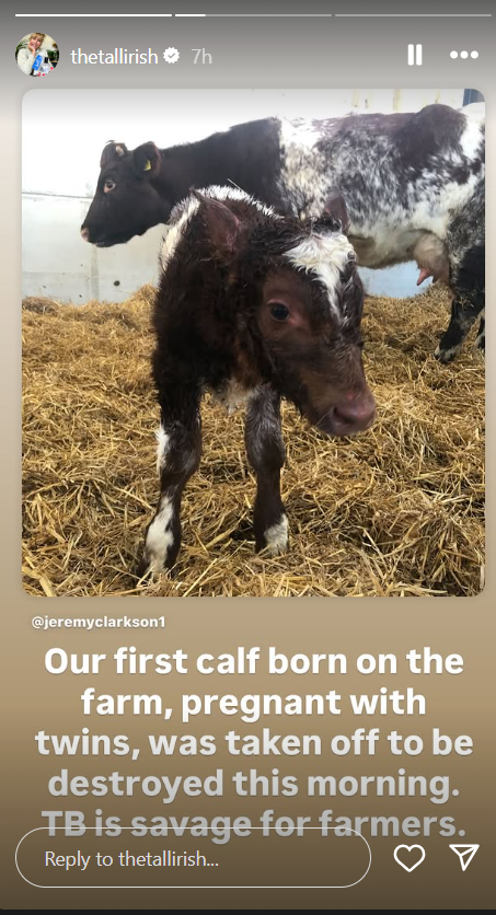 Lisa Hogan post