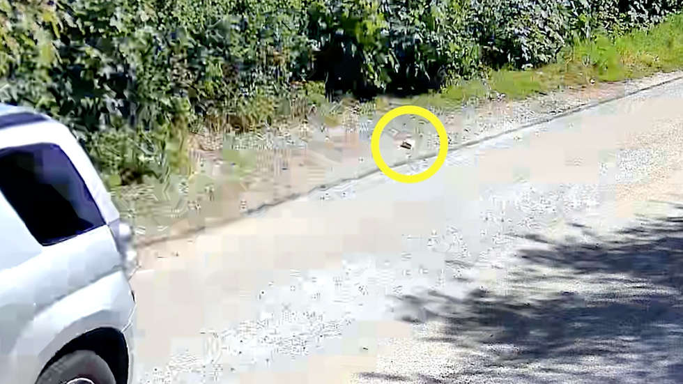 Litter from car