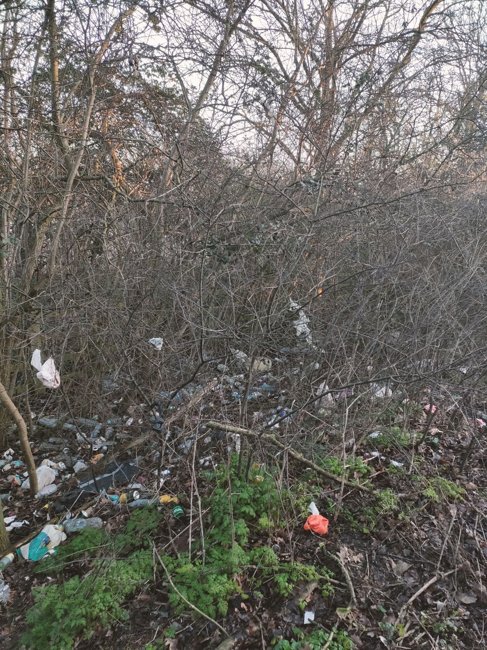 Litter