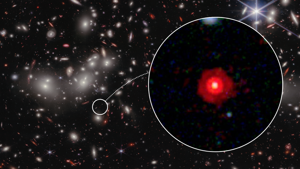 Little red dot black hole