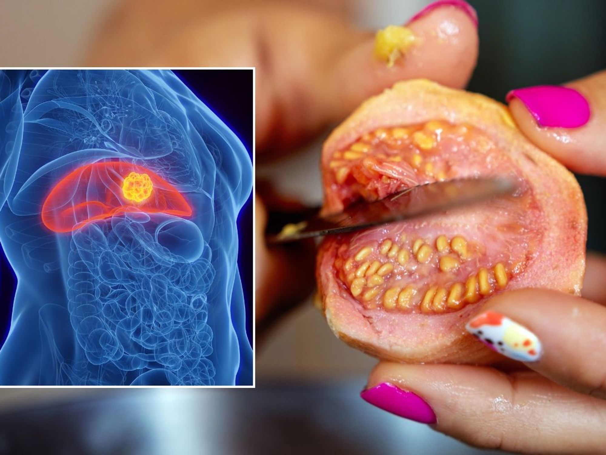 LIVER ILLUSTRATION AND PERSON CUTTING UP GUAVA