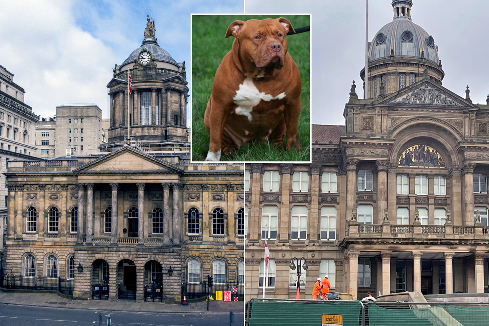 Liverpool, Birmingham and an XL Bully