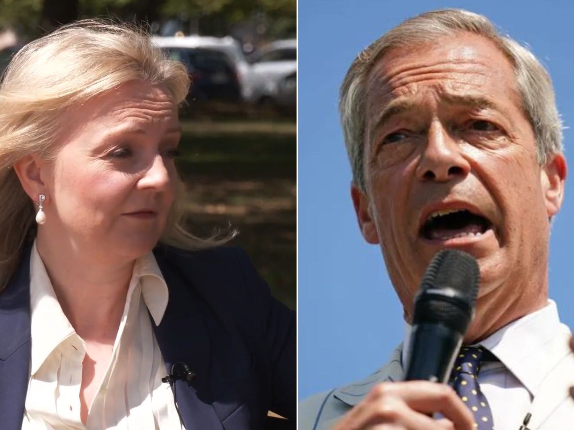 Liz Truss, Nigel Farage