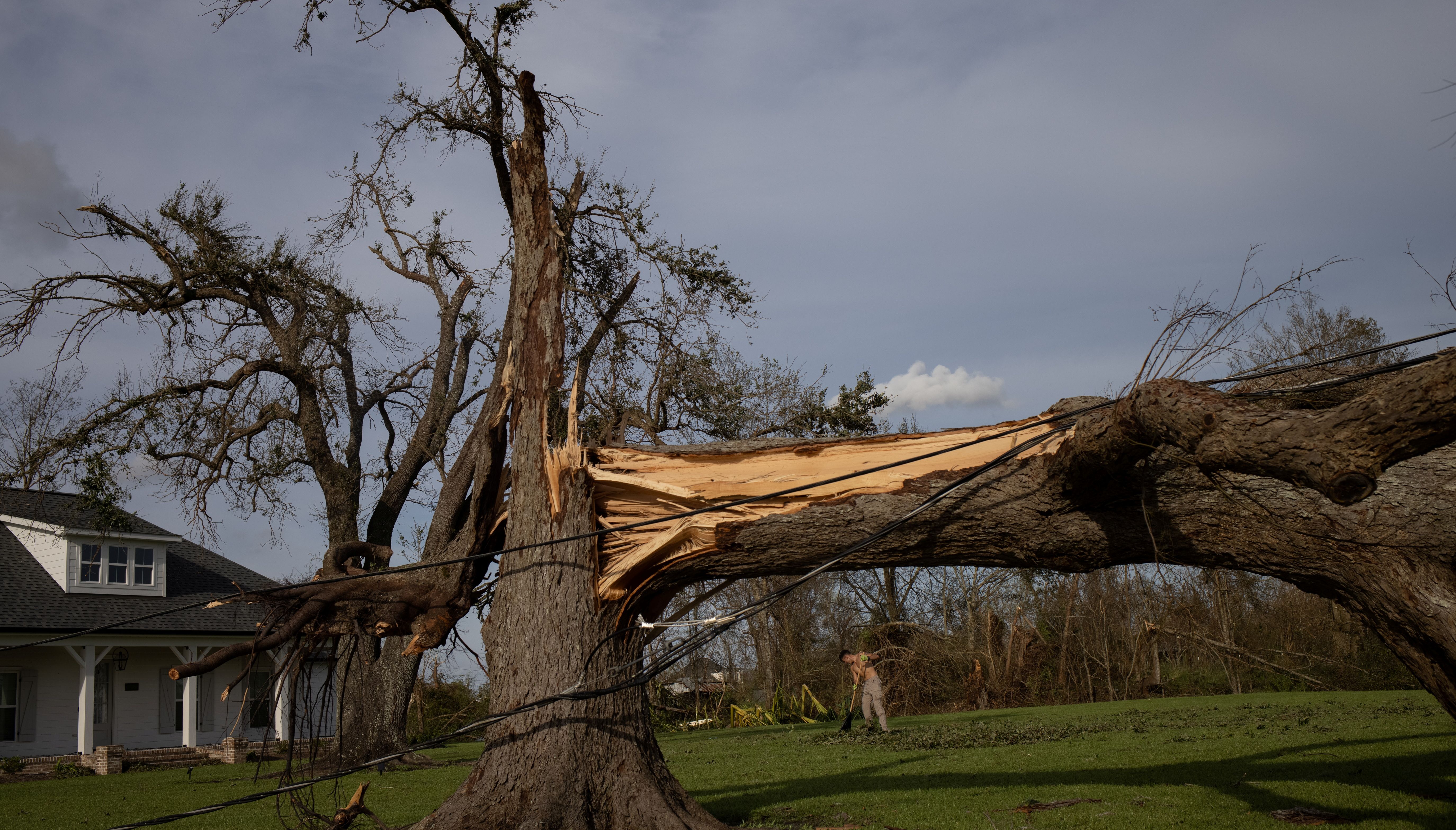 Local resident Kurt Charpentier rakes leaves past a fallen tree in his yard in the aftermath of Hurricane Ida in Bourg, Louisiana.