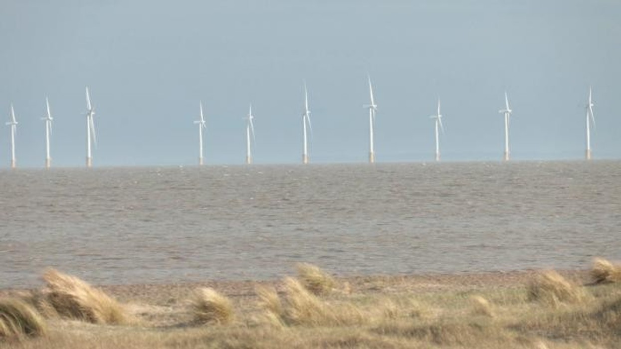 Locals clash with National Grid over plans to build 'FOREST of pylons' in countryside