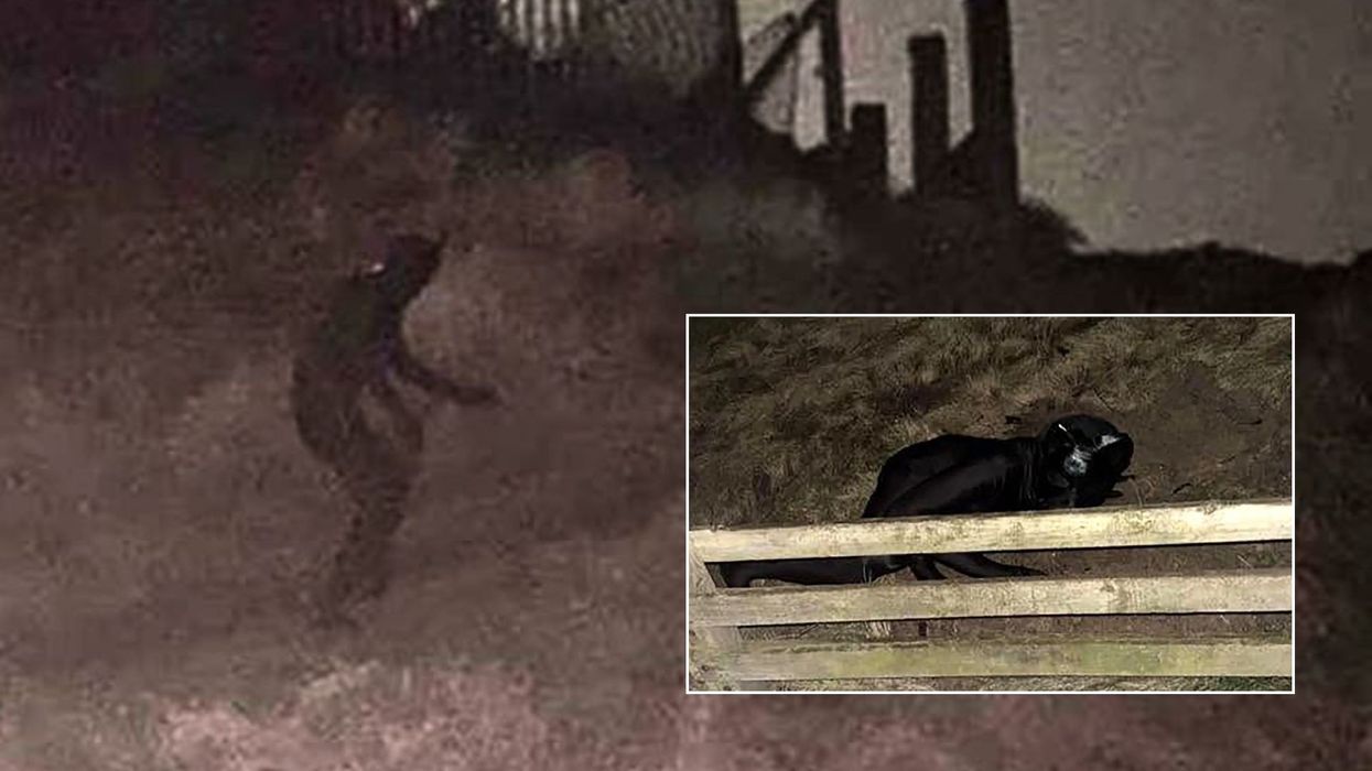 Locals left terrified after mystery figure dressed in black cat gimp suit terrorises neighbourhood
