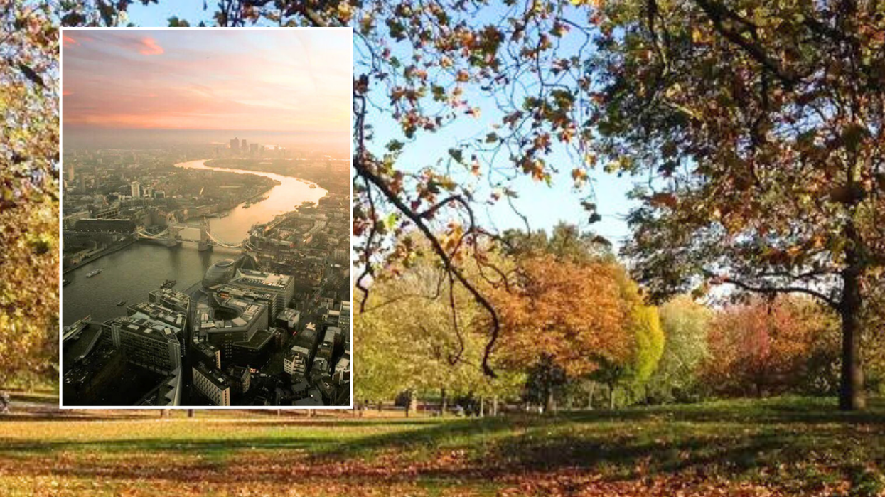 London park / River Thames