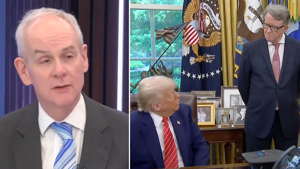 Lord Daniel Moylan, Donald Trump and Lord Mandelson