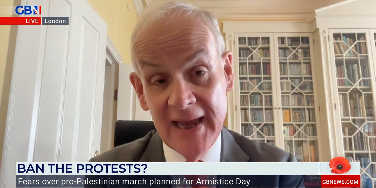 NextImg:‘Right to protest is NOT an absolute right!’ Lord Moylan blasts plans for Remembrance weekend demos