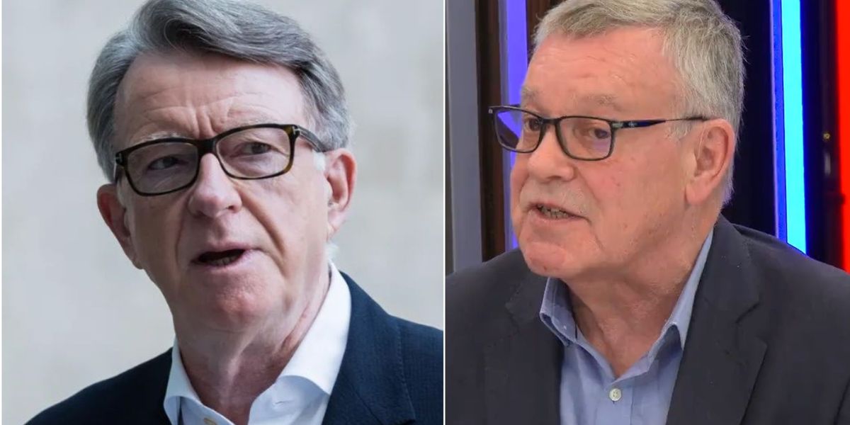 NextImg:Peter Mandelson urged to listen to Nigel Farage’s advice: ‘He knows how to handle this!’