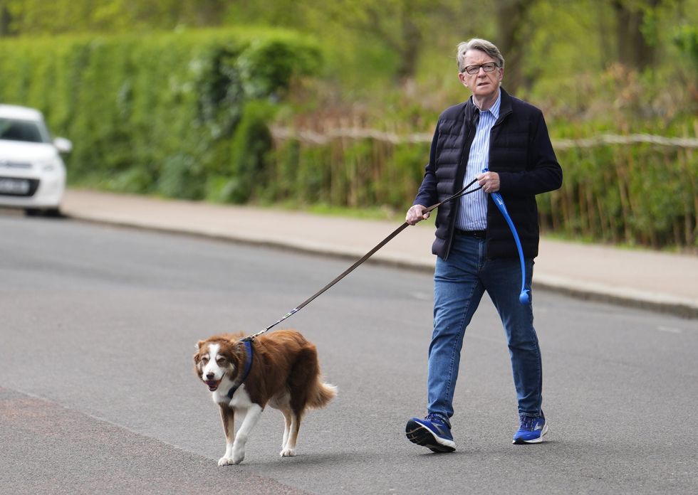 Lord Peter Mandelson