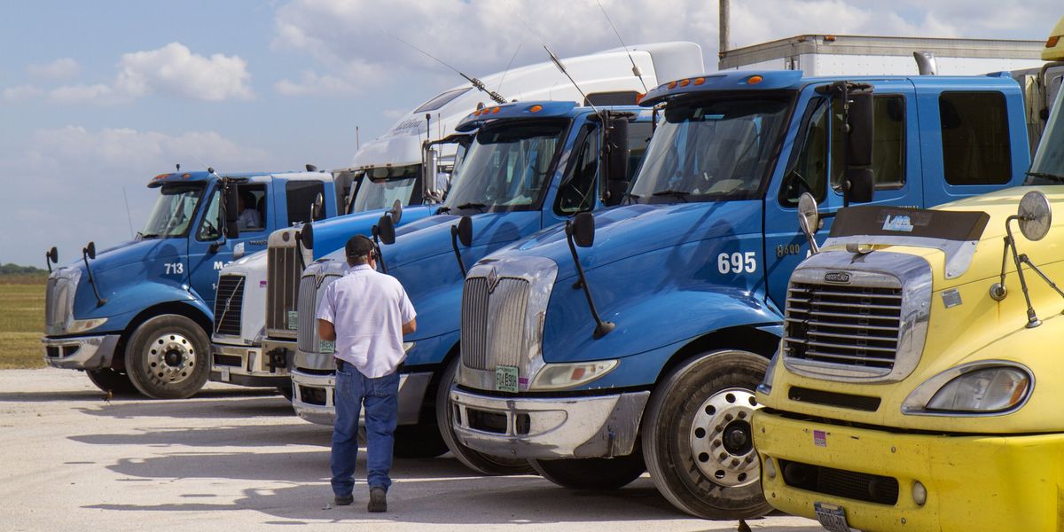 Drivers set to face English language skills test to get lorry or bus licence under new Trump plans Drivers set to face English language skills test to get lorry or bus licence under new Trump plans