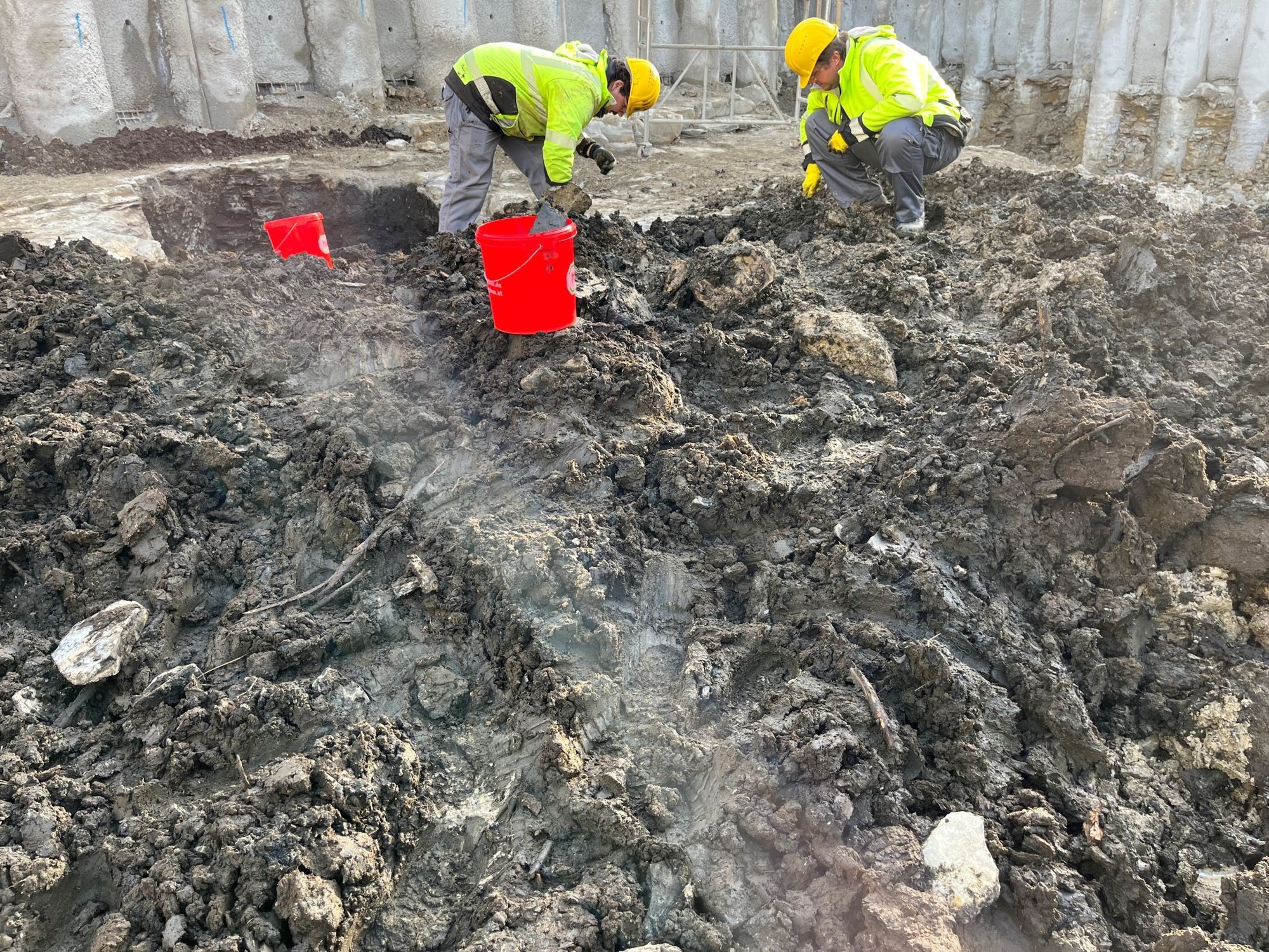 LWL archaeologists inspect content of medieval latrines