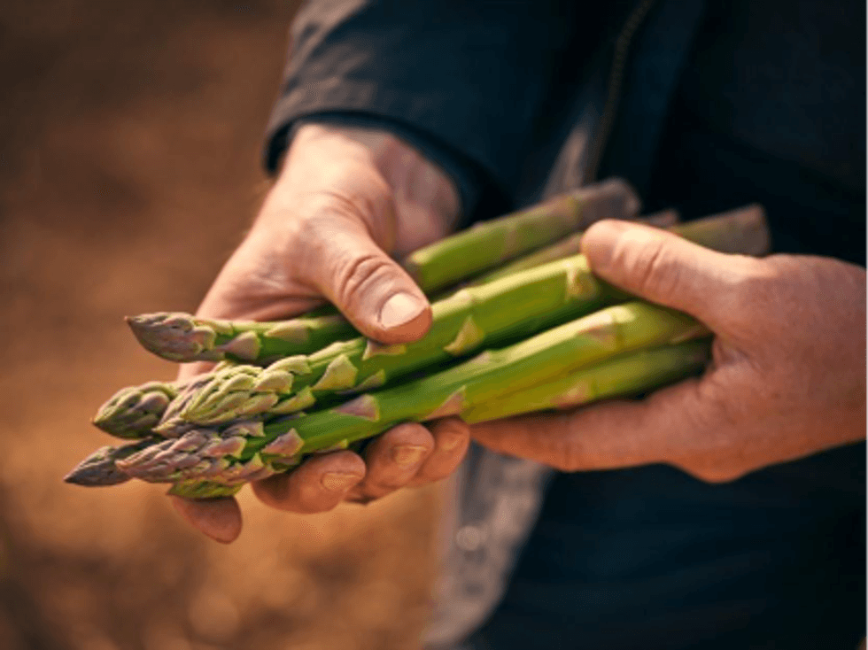 M&S asparagus