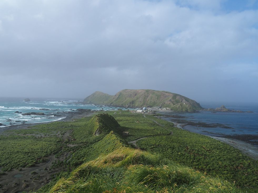 Macquarie Island
