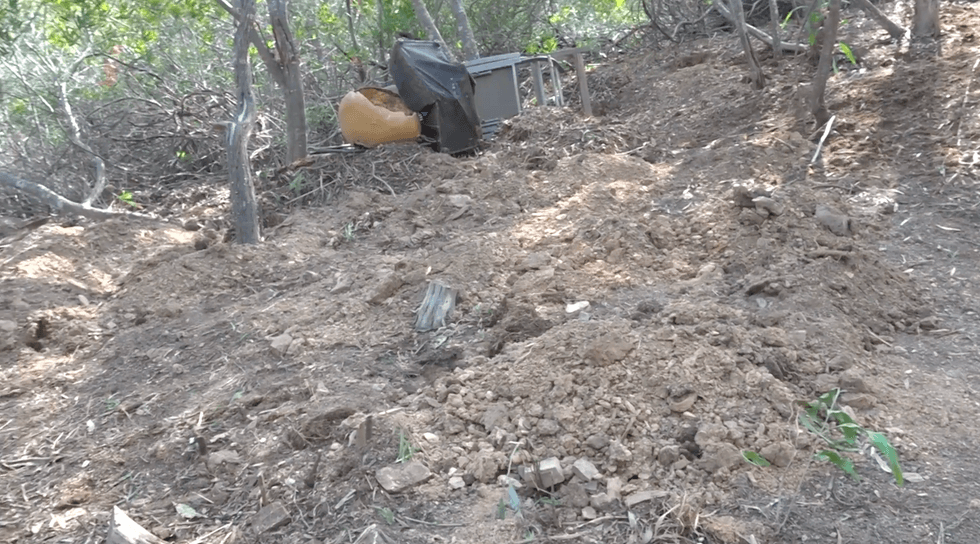 Madeleine McCann search