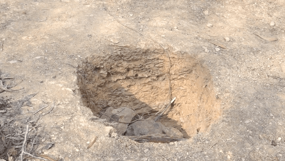 Madeleine McCann search