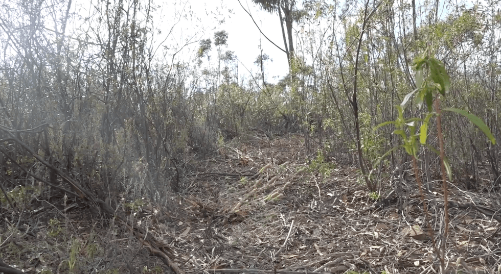 Madeleine McCann update