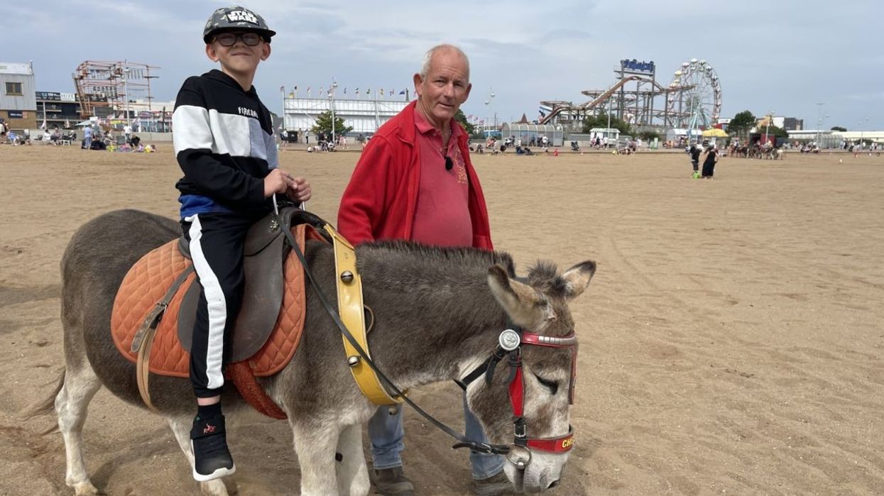 'Mainly cost of living!' Seaside donkey attraction suffers 'worst season' for 15-years ahead of 'long winter'