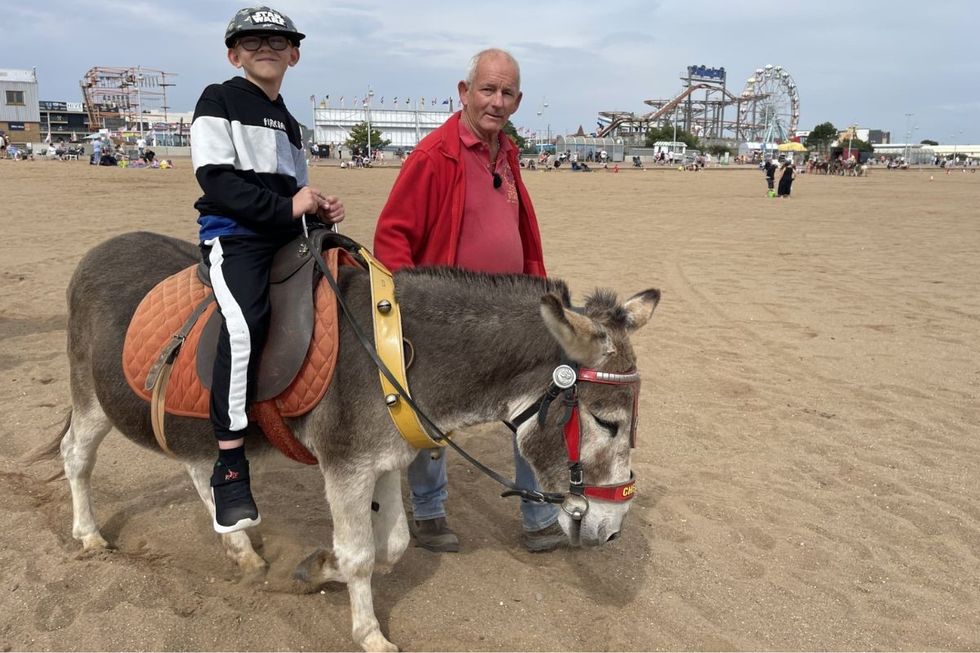 'Mainly cost of living!' Seaside donkey attraction suffers 'worst season' for 15-years ahead of 'long winter'