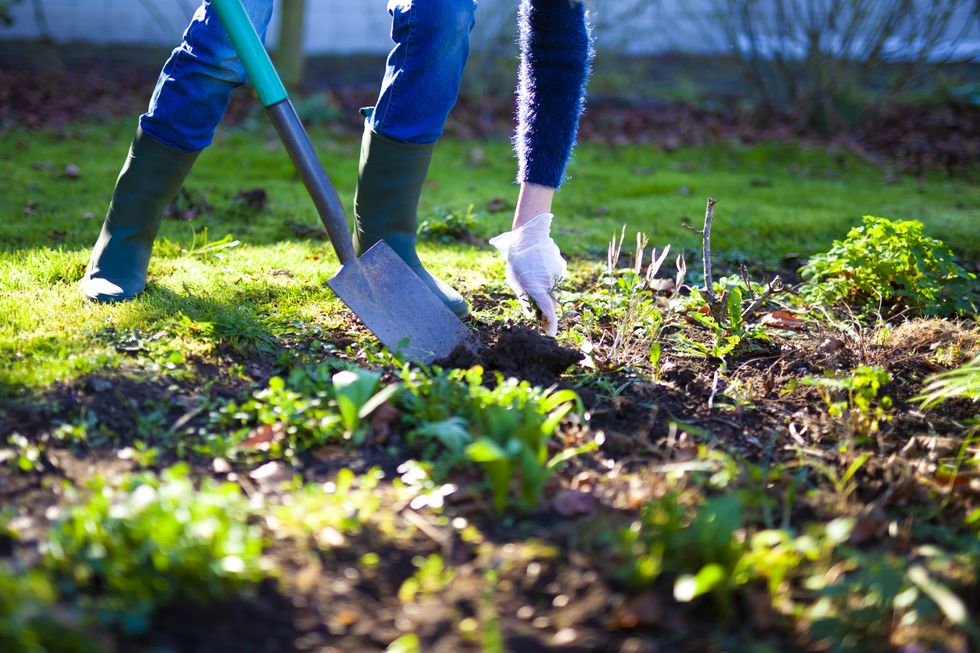 Man digging grass in garden