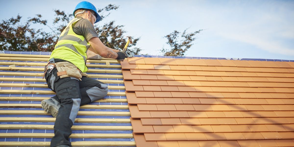 NextImg:Fraudster steals hundreds from 'vulnerable' woman after charging her for fake roof repairs
