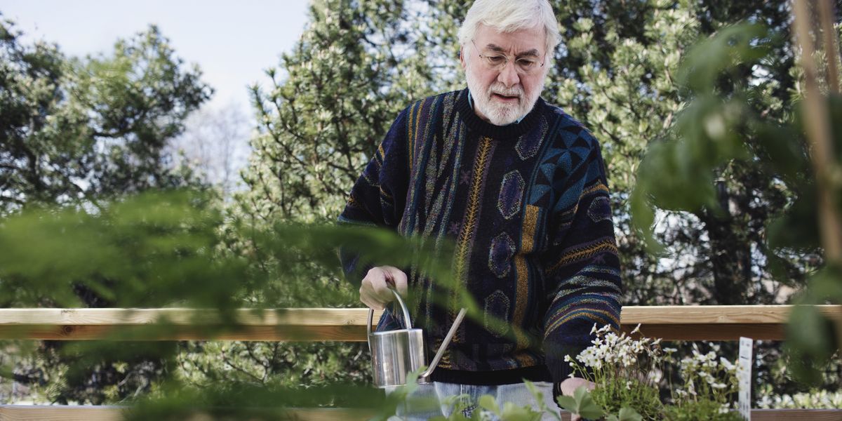 NextImg:Gardeners told 7 jobs to consider doing before winter ends to get the most out of their garden - 'it's the best time!'