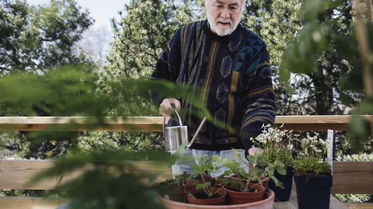 Man gardening winter