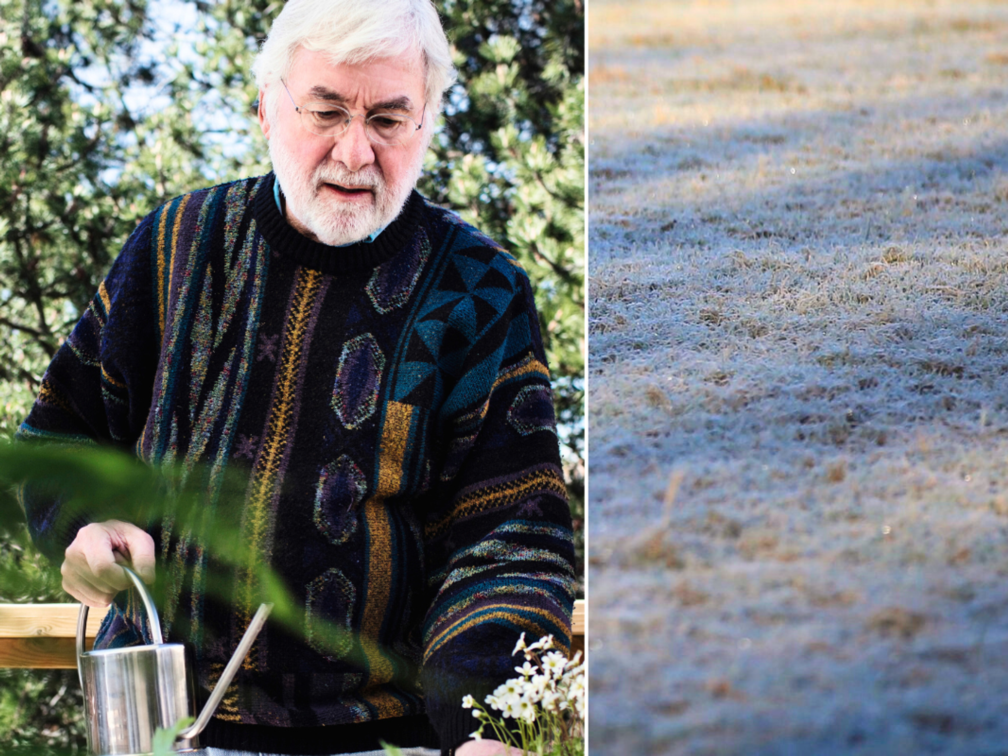 Man gardening winter