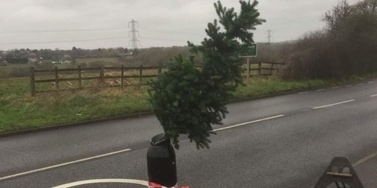 NextImg:Anti-Ulez vigilantes continue fight against Khan’s eco tax by replacing camera with Christmas tree