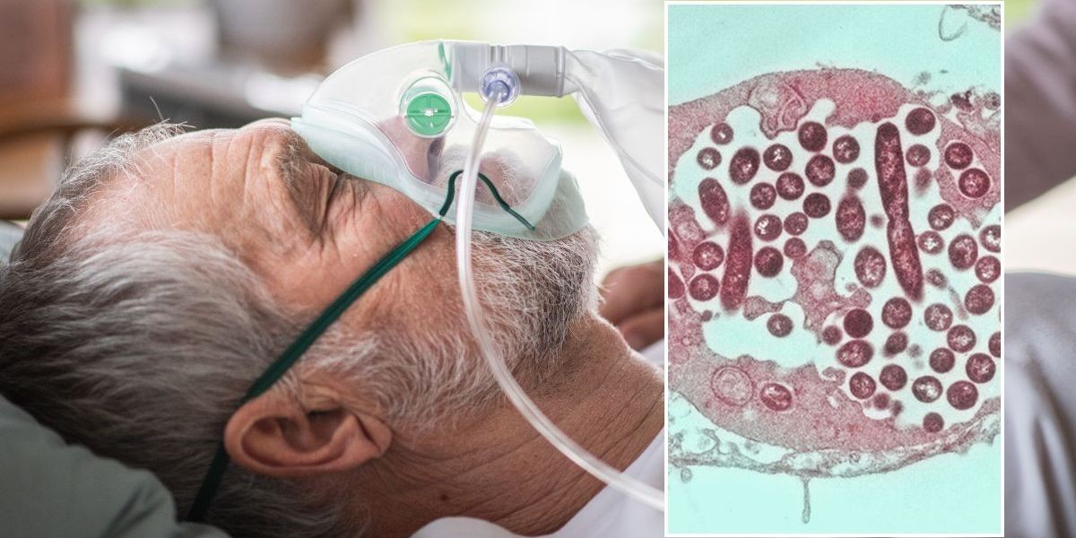 NextImg:Holidaymakers issued emergency alert over potentially fatal disease after Briton left hospitalised