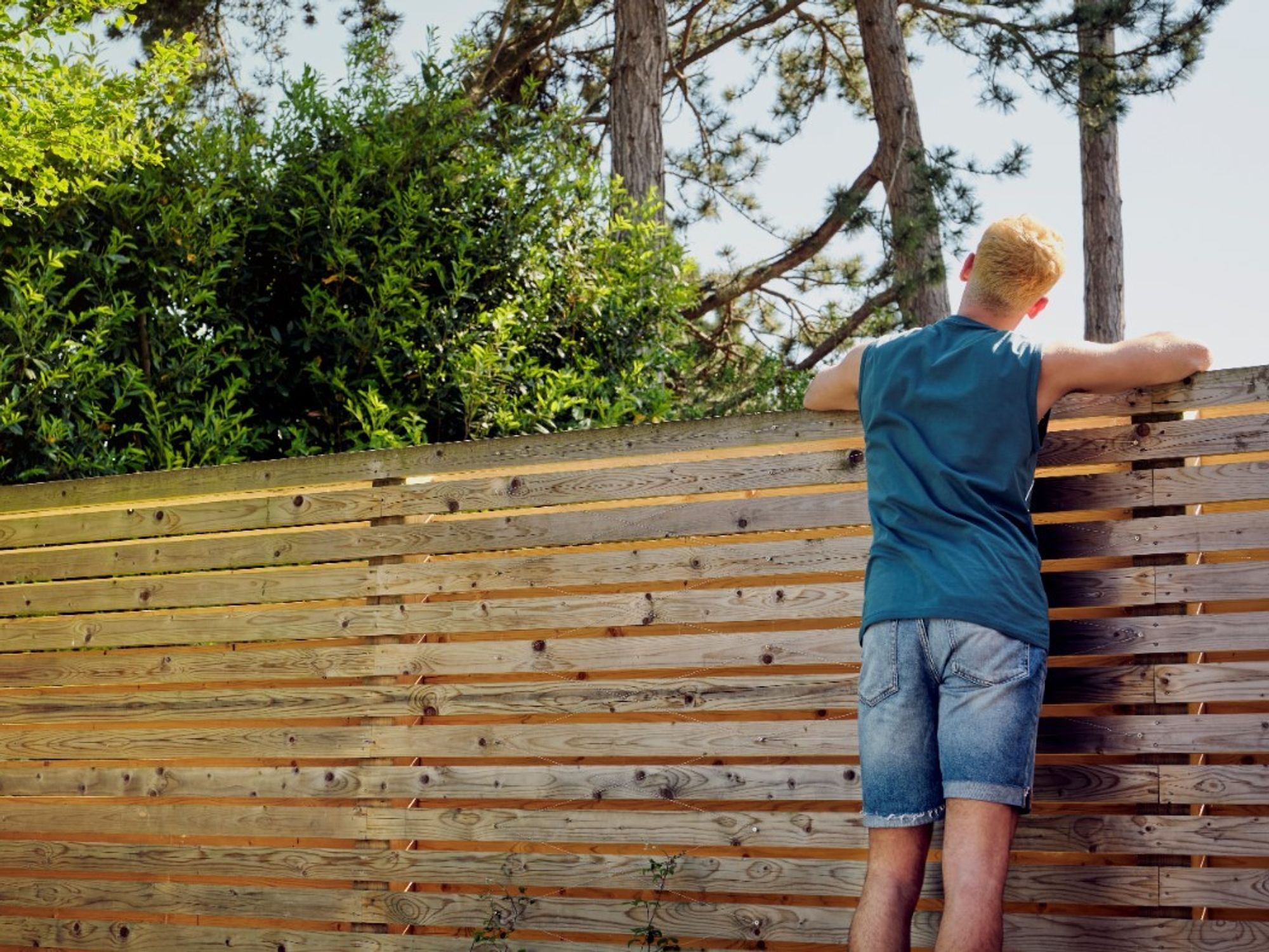 Man looking over garden fence