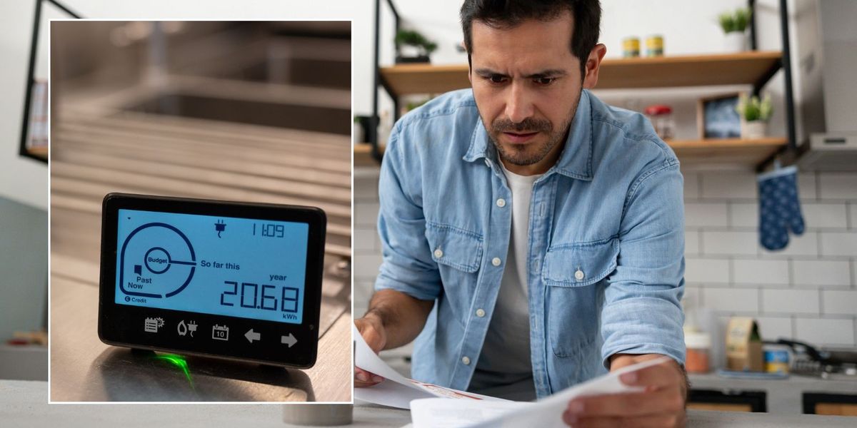 NextImg:Smart meter warning: Britons urged 'take a reading' as deadline to secure low energy bills looms