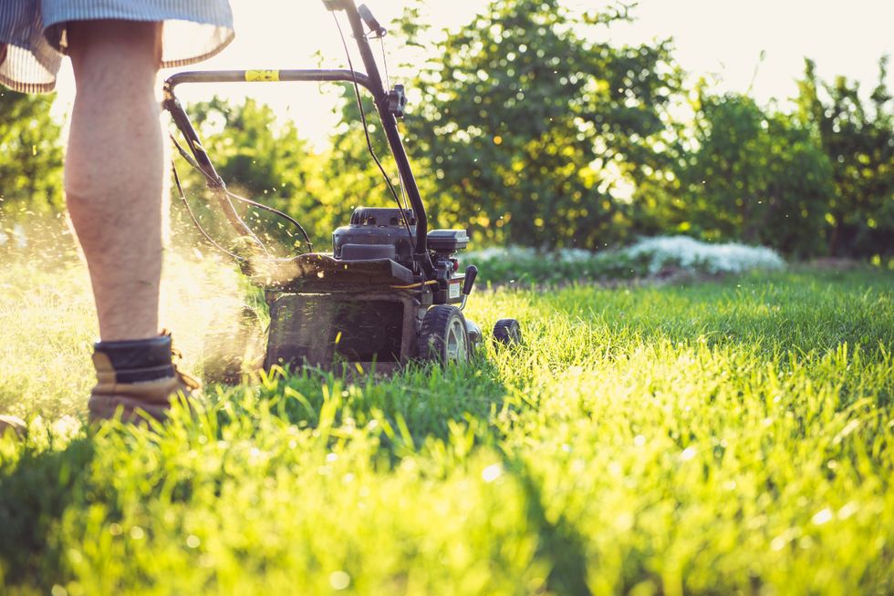 Man mowing grass