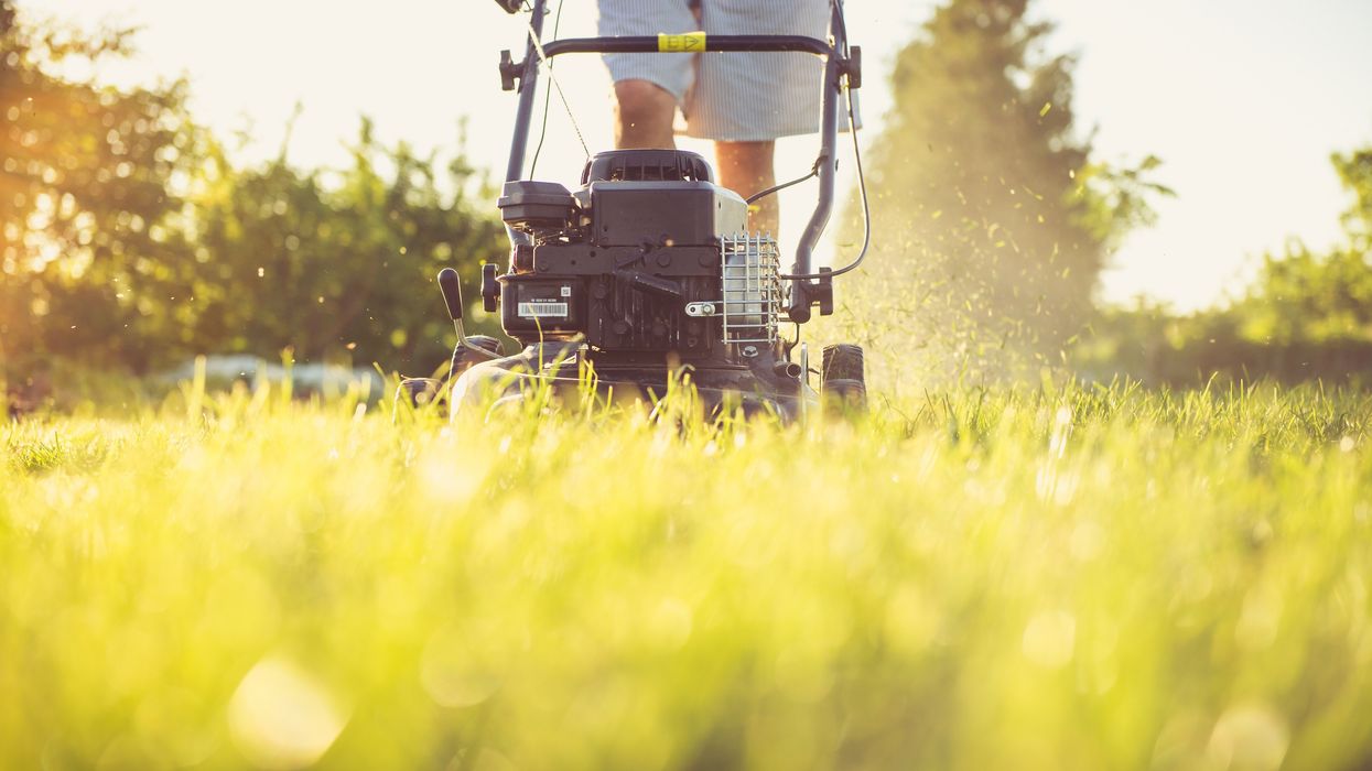 Man mowing lawn in garden