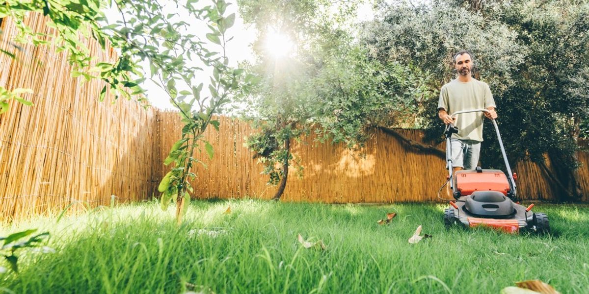 NextImg:Britons told lawn care jobs to do in March for healthy spring growth - 'now is a great time!'