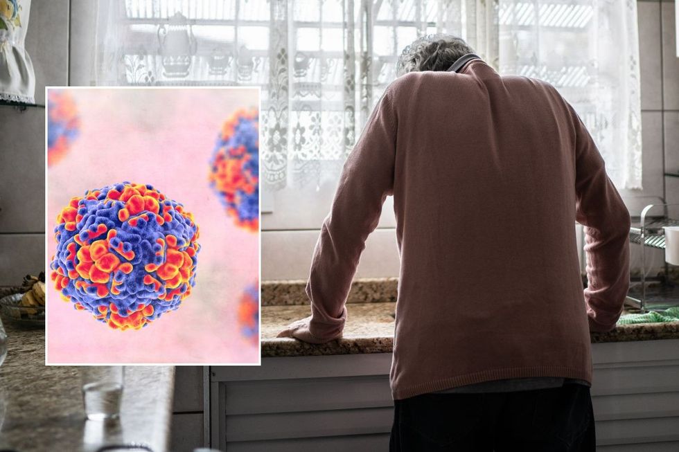 Health chiefs issue 48-hour warning to Britons over ‘incredibly infectious’ winter vomiting bug