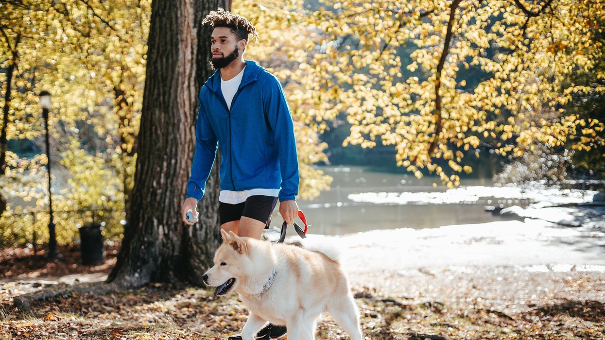 Man walking dog in park