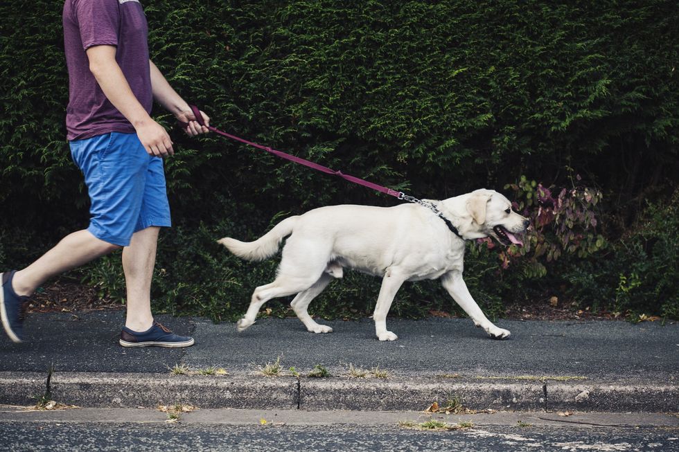Man walking dog