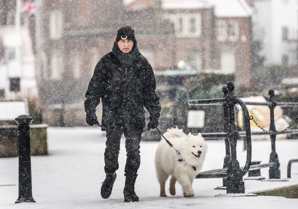 Man walking in the snow with his dog