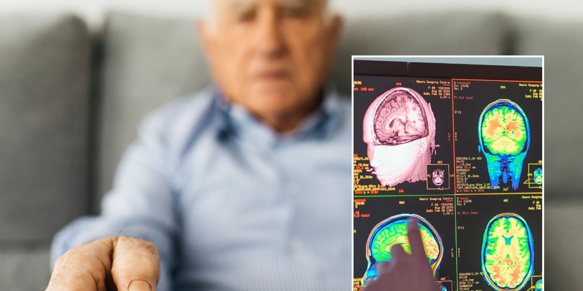 NextImg:How much TV is safe to watch? Scientists reveal the daily limit Britons should not exceed to prevent dementia