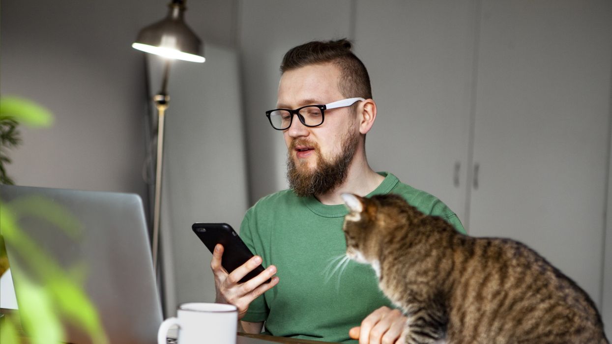 Man with cat and phone